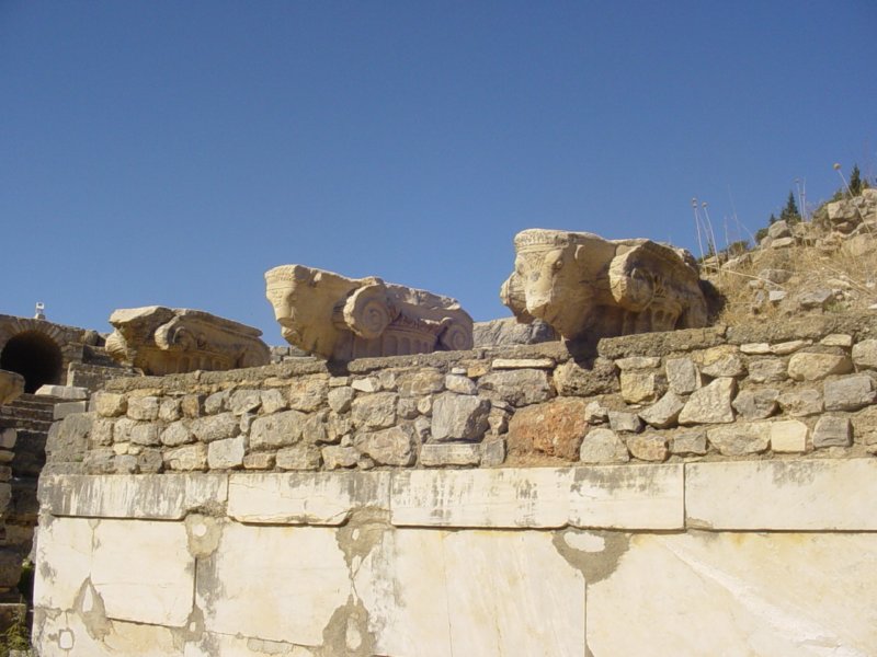 lionsheads.jpg